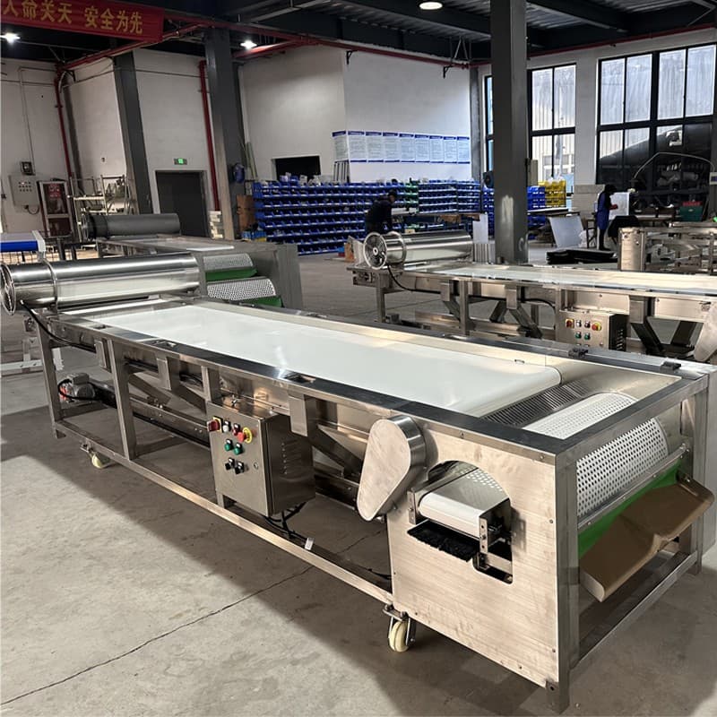 images/1703836705663blueberry grader.jpg